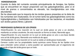 HIDROGENACION
Cuando la dieta del rumiante consiste principalmente de forrajes, los lípidos
que se encuentran en mayor proporción son los galactoglicéridos, pero si el
nivel de granos o concentrados es elevado, los triacilglicéridos son más
abundantes.
Se ha observado que la mayoría de los ácidos grasos presentes en la dieta de
los rumiantes son insaturados. En el rumen tanto los galactoglicéridos como los
trigliacilglicéridos y fosfolípidos son hidrolizados por las bacterias, el resultado
son ácidos grasos libres y glicerol.
PROPIEDADES QUÍMICAS DE LOS LÍPIDOS
•Esterificación: Es una reacción en la cual un ácido graso se une a un alcohol,
mediante un enlace covalente. De esta reacción se forma un éster, liberando agua.
•Saponificación: Es una reacción en la cual un ácido graso se une a una base dando
una sal de ácido graso, liberando una molécula de agua.
•Antioxidación: Es una reacción en la cual se oxida un ácido graso insaturado.
Conocer cuales son las propiedades tanto químicas como físicas de los lípidos sirve
para entender como actúan y como pueden ser aprovechadas por el organismo de
acuerdo al tipo de ácido graso que se trate.
 