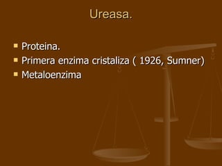 Ureasa. Proteina. Primera enzima cristaliza ( 1926, Sumner) Metaloenzima  