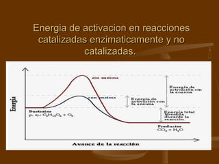 Energia de activacion en reacciones catalizadas enzimaticamente y no catalizadas.  