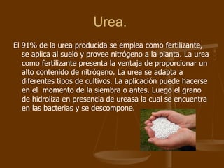 Urea.  El 91% de la urea producida se emplea como fertilizante, se aplica al suelo y provee nitrógeno a la planta. La urea como fertilizante presenta la ventaja de proporcionar un alto contenido de nitrógeno. La urea se adapta a diferentes tipos de cultivos. La aplicación puede hacerse en el  momento de la siembra o antes. Luego el grano de hidroliza en presencia de ureasa la cual se encuentra en las bacterias y se descompone.  