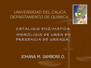 UNIVERSIDAD DEL CAUCA. DEPARTAMENTO DE QUIMICA.  CATALISIS ENZIMATICA. HIDRÓLISIS DE UREA EN PRESENCIA DE UREASA.  JOHANA M. SAMBONI O.  