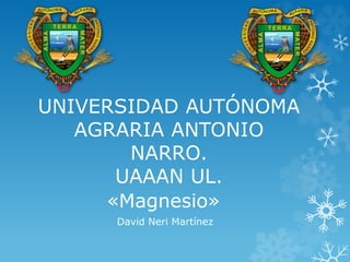 UNIVERSIDAD AUTÓNOMA
AGRARIA ANTONIO
NARRO.
UAAAN UL.
«Magnesio»
David Neri Martínez
 
