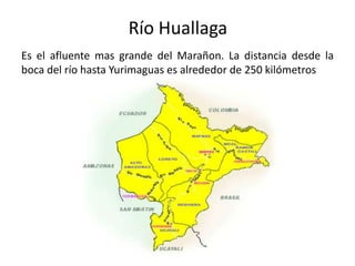 Es el afluente mas grande del Marañon. La distancia desde la
boca del río hasta Yurimaguas es alrededor de 250 kilómetros
Río Huallaga
 