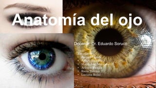 Anatomía del ojo
Docente: Dr. Eduardo Soruco
Estudiantes:
• Raquel Parada
• Arturo Ramallo
• Maria José Montaño
• Arlynes Padilla
• Rocío Terraza
• Luciana Rojas
 