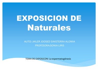 EXPOSICION DE
Naturales
AUTO: JAILER JOOSED SINISTERRA ALOMIA
PROFESORA:SONIA LIRIS
TEMA DE EXPOSICON: La espermatogénesis
 