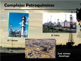 Complejos Petroquímicos El Tablazo El Palito José Antonia Anzoátegui 