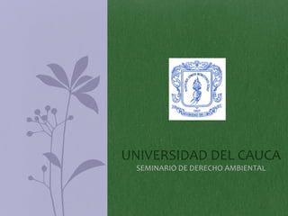 UNIVERSIDAD DEL CAUCA
SEMINARIO DE DERECHO AMBIENTAL
 