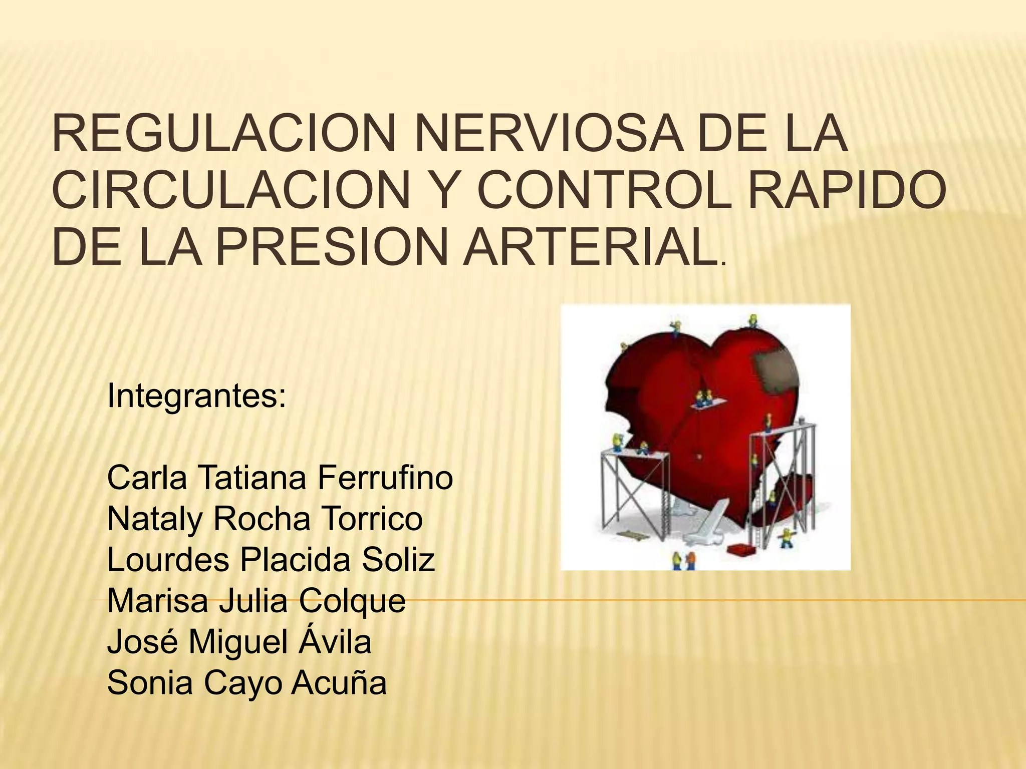Regulacion nerviosa de la circulacion y control rapido de la presion ...