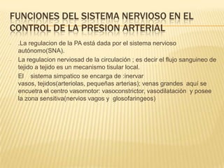 FUNCIONES DEL SISTEMA NERVIOSO EN EL
CONTROL DE LA PRESION ARTERIAL
- .La regulacion de la PA está dada por el sistema nervioso
autónomo(SNA).
- La regulacion nerviosad de la circulación ; es decir el flujo sanguineo de
tejido a tejido es un mecanismo tisular local.
- El sistema simpatico se encarga de :inervar
vasos, tejidos(arteriolas, pequeñas arterias); venas grandes aquí se
encuetra el centro vasomotor: vasoconstrictor, vasodilatación y posee
la zona sensitiva(nervios vagos y glosofaringeos)
 