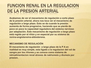 FUNCION RENAL EN LA REGULACION
DE LA PRESION ARTERIAL
Acabamos de ver el mecanismo de regulación a corto plazo
de la presión arterial, ahora nos toca ver el mecanismo de
regulación a largo plazo. Esto se da cuando la presión
aumenta de forma progresiva, haciendo que se pierda de
poco en poco la capacidad reguladora del sistema nervioso
por adaptación. Este mecanismo de regulación a largo plazo
está regido por el riñón y en especial por su sistema de
renina-angiotensina-aldosterona.
MECANISMO DE REGULACIÓN
El mecanismo de regulación a largo plazo de la P A en
realidad es muy simple, esta ligado a la regulacion del vol de
sangre por los riñones y se conoce como sistema de
retroalimentacion renal atraves de natriuresis y diuresis por
presion.
 