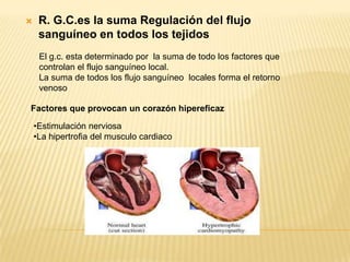  R. G.C.es la suma Regulación del flujo
sanguíneo en todos los tejidos
El g.c. esta determinado por la suma de todo los factores que
controlan el flujo sanguíneo local.
La suma de todos los flujo sanguíneo locales forma el retorno
venoso
Factores que provocan un corazón hipereficaz
•Estimulación nerviosa
•La hipertrofia del musculo cardiaco
 