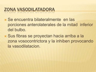 ZONA VASODILATADORA
 Se encuentra bilateralmente en las
porciones anterolaterales de la mitad inferior
del bulbo.
 Sus fibras se proyectan hacia arriba a la
zona vosocontrictora y la inhiben provocando
la vasodilatacion.
 