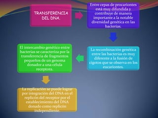  Mecanismo de invasión