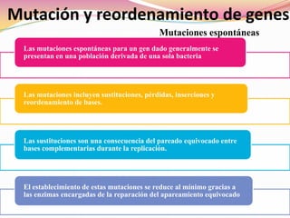  Empaquetamiento y liberación de componentes virales