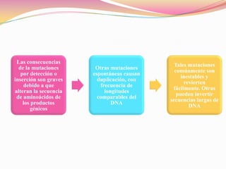 Que son las Bacteriófagas?