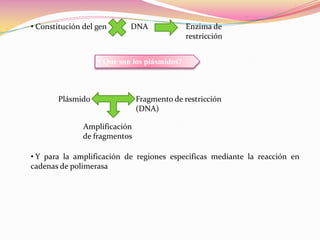  Cambio de funciones fisiológicasGenéticaQue es el Gen? 