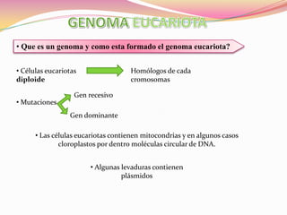  El enfoque tradicional de la herencia es basada en fenotiposCambio Variación de fenotipo Genotipo observación Genética microbianaCrecimiento  La variación fenotípica se ha estudiado con base en la capacidad del gen para permitir el crecimiento en condiciones de selección. Constitución del genEnzima de restricciónDNAQue son los plásmidos?PlásmidoFragmento de restricción (DNA)Amplificación de fragmentos Y para la amplificación de regiones especificas mediante la reacción en cadenas de polimerasaGENOMA EUCARIOTA Que es un genoma y como esta formado el genoma eucariota?