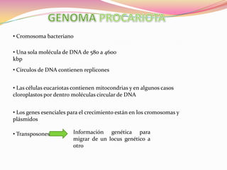  Células eucariotas diploideHomólogos de cada cromosomasGen recesivo  Mutaciones Gen dominante  Las células eucariotas contienen mitocondrias y en algunos casos cloroplastos por dentro moléculas circular de DNA.