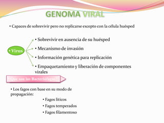  Algunas levaduras contienen plásmidos GENOMAPROCARIOTA Cromosoma bacteriano