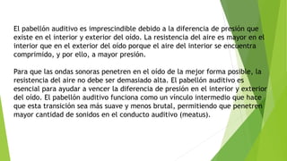 El pabellón auditivo es imprescindible debido a la diferencia de presión que
existe en el interior y exterior del oído. La resistencia del aire es mayor en el
interior que en el exterior del oído porque el aire del interior se encuentra
comprimido, y por ello, a mayor presión.
Para que las ondas sonoras penetren en el oído de la mejor forma posible, la
resistencia del aire no debe ser demasiado alta. El pabellón auditivo es
esencial para ayudar a vencer la diferencia de presión en el interior y exterior
del oído. El pabellón auditivo funciona como un vínculo intermedio que hace
que esta transición sea más suave y menos brutal, permitiendo que penetren
mayor cantidad de sonidos en el conducto auditivo (meatus).
 