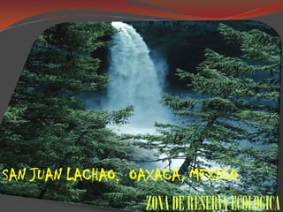 SAN JUAN LACHAO,  OAXACA, MEXICO.ZONADERESERVAECOLOGICA