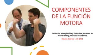 COMPONENTES
DE LA FUNCIÓN
MOTORA
Iniciación, modificación y control de patrones de
movimiento y posturas voluntarias
Rosalía Estévez 1-18-2461
 