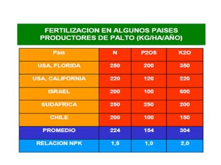 Nutrición en el cultivo de palto