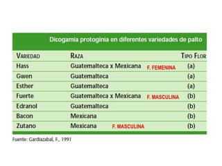 F. FEMENINA




               F. MASCULINA




F. MASCULINA
 