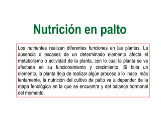 Nutrición en palto
Los nutrientes realizan diferentes funciones en las plantas. La
ausencia o escasez de un determinado elemento afecta el
metabolismo o actividad de la planta, con lo cual la planta se ve
afectada en su funcionamiento y crecimiento. Si falta un
elemento, la planta deja de realizar algún proceso o lo hace más
lentamente, la nutrición del cultivo de palto va a depender de la
etapa fenológica en la que se encuentra y del balance hormonal
del momento.
 