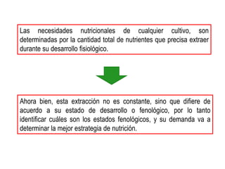 Las necesidades nutricionales de cualquier cultivo, son
determinadas por la cantidad total de nutrientes que precisa extraer
durante su desarrollo fisiológico.




Ahora bien, esta extracción no es constante, sino que difiere de
acuerdo a su estado de desarrollo o fenológico, por lo tanto
identificar cuáles son los estados fenológicos, y su demanda va a
determinar la mejor estrategia de nutrición.
 