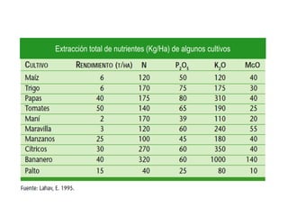 Extracción total de nutrientes (Kg/Ha) de algunos cultivos
 