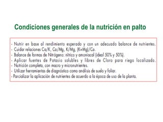 Condiciones generales de la nutrición en palto
 
