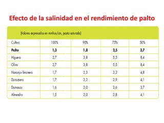 Efecto de la salinidad en el rendimiento de palto
 