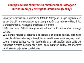 Ventajas de una fertilización combinada de Nitrógeno
        nítrico (N-N03-) y Nitrógeno amoniacal (N-NH4+)

Mayor eficiencia en la absorción total de Nitrógeno, lo que significa que
es posible utilizar menores dosis, en comparación a cuando se utiliza, única
y exclusivamente, Nitrógeno amoniacal y/o ureico.
Se conoce el "efecto sinérgico" del nitrato con los elementos de carga
positiva.
El nitrato reduce la absorción de cloruros en suelos salinos, esto hace
que el árbol desarrolle mejor área foliar en condiciones adversas, es por ello
que en suelos salinos y/o con tendencia a la salinización, gran parte del
Nitrógeno siempre debiera ser nítrico, para lograr un cultivo con mayores
rendimientos bajo estas condiciones.
 