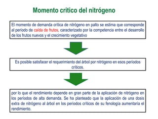 Momento critico del nitrógeno
El momento de demanda crítica de nitrógeno en palto se estima que corresponde
al período de caída de frutos, caracterizado por la competencia entre el desarrollo
de los frutos nuevos y el crecimiento vegetativo




  Es posible satisfacer el requerimiento del árbol por nitrógeno en esos períodos
                                      críticos.




por lo que el rendimiento depende en gran parte de la aplicación de nitrógeno en
los períodos de alta demanda. Se ha planteado que la aplicación de una dosis
extra de nitrógeno al árbol en los períodos críticos de su fenología aumentaría el
rendimiento.
 