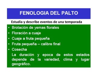 Estudia y describe eventos de una temporada
 