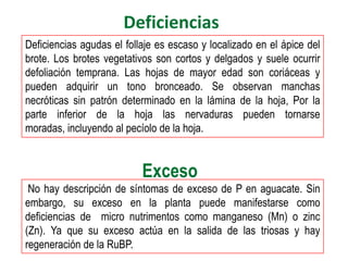 Deficiencias
Deficiencias agudas el follaje es escaso y localizado en el ápice del
brote. Los brotes vegetativos son cortos y delgados y suele ocurrir
defoliación temprana. Las hojas de mayor edad son coriáceas y
pueden adquirir un tono bronceado. Se observan manchas
necróticas sin patrón determinado en la lámina de la hoja, Por la
parte inferior de la hoja las nervaduras pueden tornarse
moradas, incluyendo al pecíolo de la hoja.


                           Exceso
 No hay descripción de síntomas de exceso de P en aguacate. Sin
embargo, su exceso en la planta puede manifestarse como
deficiencias de micro nutrimentos como manganeso (Mn) o zinc
(Zn). Ya que su exceso actúa en la salida de las triosas y hay
regeneración de la RuBP.
 