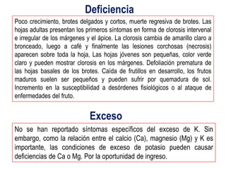 Deficiencia
Poco crecimiento, brotes delgados y cortos, muerte regresiva de brotes. Las
hojas adultas presentan los primeros síntomas en forma de clorosis intervenal
e irregular de los márgenes y el ápice. La clorosis cambia de amarillo claro a
bronceado, luego a café y finalmente las lesiones corchosas (necrosis)
aparecen sobre toda la hoja, Las hojas jóvenes son pequeñas, color verde
claro y pueden mostrar clorosis en los márgenes. Defoliación prematura de
las hojas basales de los brotes. Caída de frutillos en desarrollo, los frutos
maduros suelen ser pequeños y pueden sufrir por quemadura de sol.
Incremento en la susceptibilidad a desórdenes fisiológicos o al ataque de
enfermedades del fruto.


                             Exceso
No se han reportado síntomas específicos del exceso de K. Sin
embargo, como la relación entre el calcio (Ca), magnesio (Mg) y K es
importante, las condiciones de exceso de potasio pueden causar
deficiencias de Ca o Mg. Por la oportunidad de ingreso.
 