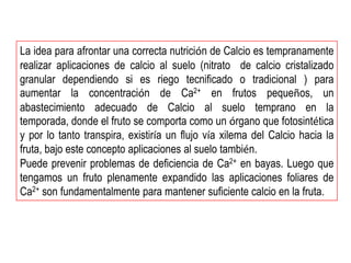 La idea para afrontar una correcta nutrición de Calcio es tempranamente
realizar aplicaciones de calcio al suelo (nitrato de calcio cristalizado
granular dependiendo si es riego tecnificado o tradicional ) para
aumentar la concentración de Ca2+ en frutos pequeños, un
abastecimiento adecuado de Calcio al suelo temprano en la
temporada, donde el fruto se comporta como un órgano que fotosintética
y por lo tanto transpira, existiría un flujo vía xilema del Calcio hacia la
fruta, bajo este concepto aplicaciones al suelo también.
Puede prevenir problemas de deficiencia de Ca2+ en bayas. Luego que
tengamos un fruto plenamente expandido las aplicaciones foliares de
Ca2+ son fundamentalmente para mantener suficiente calcio en la fruta.
 