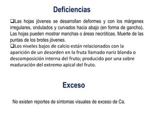 Deficiencias
Las hojas jóvenes se desarrollan deformes y con los márgenes
irregulares, ondulados y curvados hacia abajo (en forma de gancho).
Las hojas pueden mostrar manchas o áreas necróticas. Muerte de las
puntas de los brotes jóvenes.
Los niveles bajos de calcio están relacionados con la
aparición de un desorden en la fruta llamado nariz blanda o
descomposición interna del fruto; producido por una sobre
maduración del extremo apical del fruto.



                          Exceso

 No existen reportes de síntomas visuales de exceso de Ca.
 