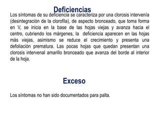 Deficiencias
Los síntomas de su deficiencia se caracteriza por una clorosis intervenía
(desintegración de la clorofila), de aspecto bronceado, que toma forma
en V, se inicia en la base de las hojas viejas y avanza hacia el
centro, cubriendo los márgenes, la deficiencia aparecen en las hojas
más viejas, asimismo se reduce el crecimiento y presenta una
defoliación prematura. Las pocas hojas que quedan presentan una
clorosis intervenal amarillo bronceado que avanza del borde al interior
de la hoja.



                           Exceso
Los síntomas no han sido documentados para palta.
 