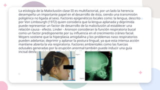 La etiología de la Maloclusión clase III es multifactorial, por un lado la herencia
desempeña un importante papel en el desarrollo de ésta, siendo una transmisión
poligénica no ligada al sexo. Factores epigenéticos locales como: la lengua, descrito
por Von Limbourgh (1972) quien considera que la lengua aplanada y deprimida
puede representar un factor de desarrollo de la maloclusión al establecer una
relación causa - efecto. Linder - Aronson consideran la función respiratoria bucal
como un factor predisponente por su influencia en el crecimiento cráneo facial.
Moyers sostiene que la hiperplasia amigdalina y los problemas naso respiratorios
pueden adelantar, deprimir y aplanar la postura lingual, ya que esta intensa acción
mantiene abierta la vía respiratoria. Factores ambientales como las fuerzas
oclusales generadas por la erupción anormal también puede inducir una guía
incisal desfavorable, favoreciendo la relación de clase III.
 