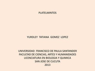 PLATELMINTOS

YURDLEY TATIANA GOMEZ LOPEZ

UNIVERSIDAD FRANCISCO DE PAULA SANTANDER
FACULTAD DE CIENCIAS, ARTES Y HUMANIDADES
LICENCIATURA EN BIOLOGIA Y QUIMICA
SAN JOSE DE CUCUTA
2013

 