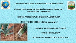 UNIVERSIDAD NACIONAL JOSÈ FAUSTINO SANCHEZ CARRIÒN
ESCUELA PROFESIONAL DE INGENIERÌA AGRARIA, INDUSTRIAS
ALIMENTARIAS Y AMBIENTAL
ESCUELA PROFESIONAL DE INGENIERÌA AGRONÒMICA
CULTIVO DE PORO (Allium porrum L.)
ALUMNO: BALTAZAR ANCHILLO INGRID
CURSO: HORTICULTURA
DOCENTE: ING. SANCHEZ CALLE MARCO TULIO
 
