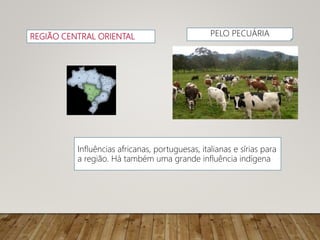 REGIÃO CENTRAL ORIENTAL
Influências africanas, portuguesas, italianas e sírias para
a região. Há também uma grande influência indígena
PELO PECUÁRIA
 