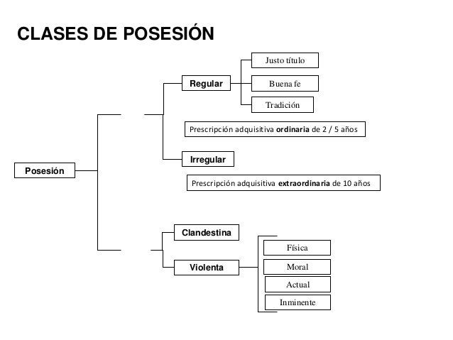 CIVIL BIENES POSESION