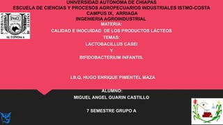MATERIA:
CALIDAD E INOCUIDAD DE LOS PRODUCTOS LÁCTEOS
TEMAS:
LACTOBACILLUS CASEI
Y
BIFIDOBACTERIUM INFANTIS.
I.B.Q. HUGO ENRIQUE PIMENTEL MAZA
ALUMNO:
MIGUEL ANGEL GUARIN CASTILLO
7 SEMESTRE GRUPO A
UNIVERSIDAD AUTÓNOMA DE CHIAPAS
ESCUELA DE CIENCIAS Y PROCESOS AGROPECUARIOS INDUSTRIALES ISTMO-COSTA
CAMPUS IX, ARRIAGA
INGENIERIA AGROINDUSTRIAL
 