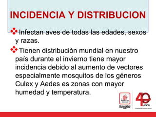 INCIDENCIA Y DISTRIBUCION
Infectan aves de todas las edades, sexos
y razas.
Tienen distribución mundial en nuestro
país durante el invierno tiene mayor
incidencia debido al aumento de vectores
especialmente mosquitos de los géneros
Culex y Aedes es zonas con mayor
humedad y temperatura.
 