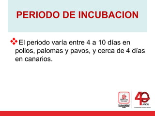 PERIODO DE INCUBACION
El periodo varía entre 4 a 10 días en
pollos, palomas y pavos, y cerca de 4 días
en canarios.
 