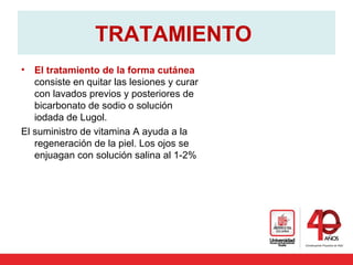 TRATAMIENTO
• El tratamiento de la forma cutánea
consiste en quitar las lesiones y curar
con lavados previos y posteriores de
bicarbonato de sodio o solución
iodada de Lugol.
El suministro de vitamina A ayuda a la
regeneración de la piel. Los ojos se
enjuagan con solución salina al 1-2%
 